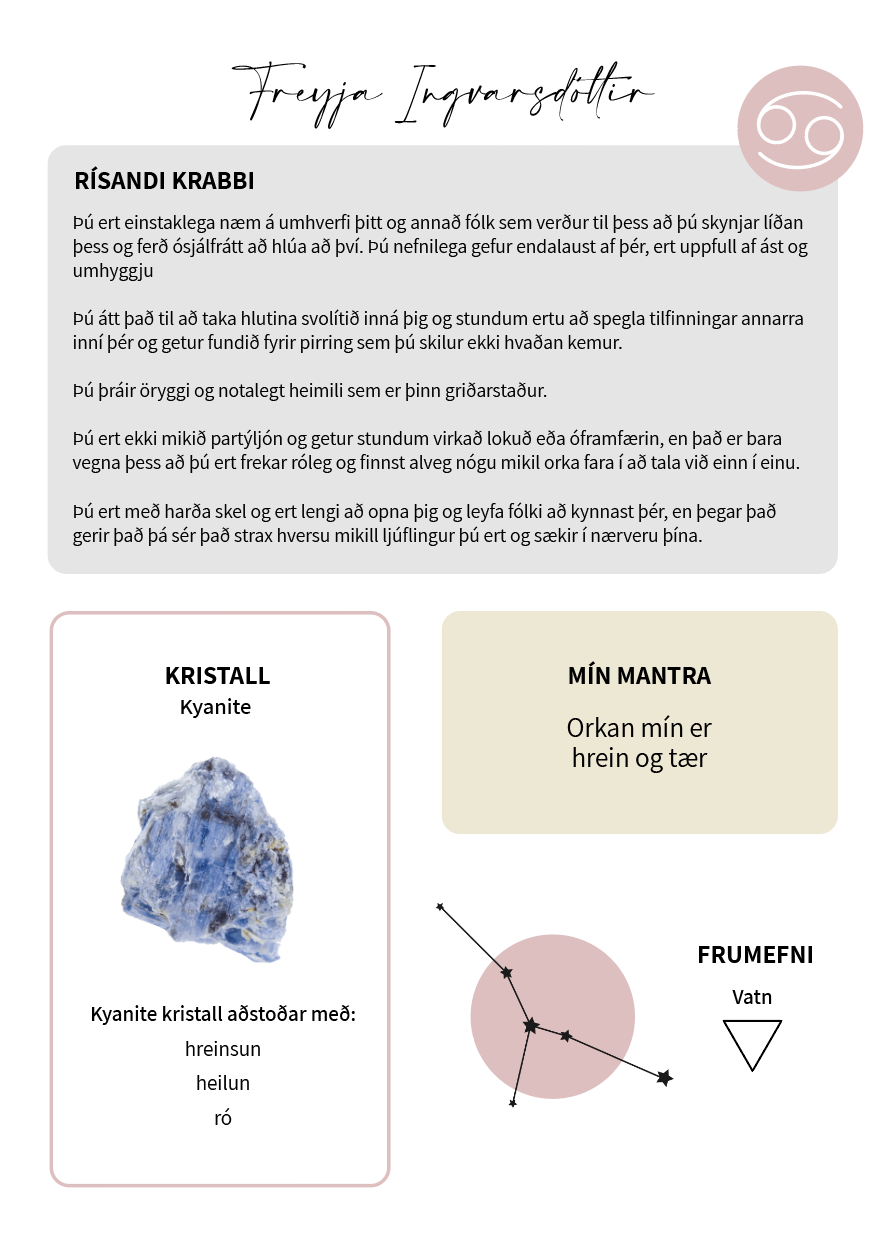 personulegur_stjornumerkjalestur